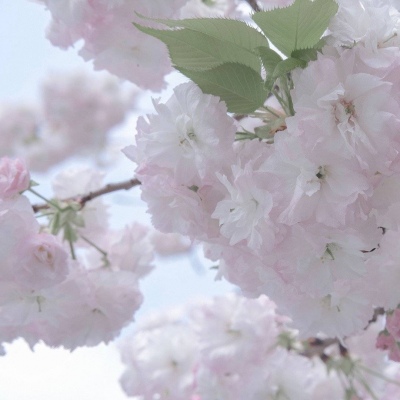 Furry插画构图思路FurryQQ群